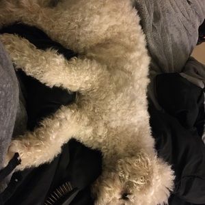 Meet your Posher, Tiffany